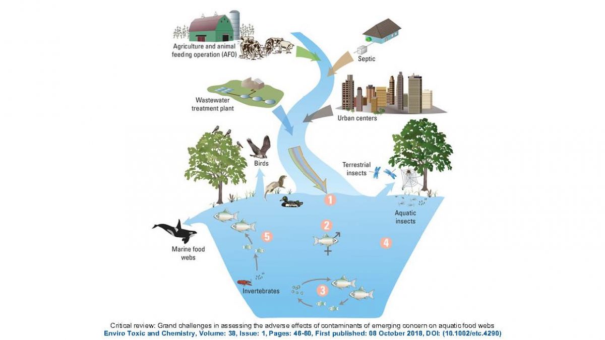 Webinar Defining A Role For Sea Grant Engagement In Cecs Connecticut