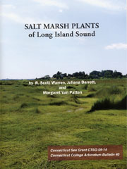 Salt_marsh_plants_LIS