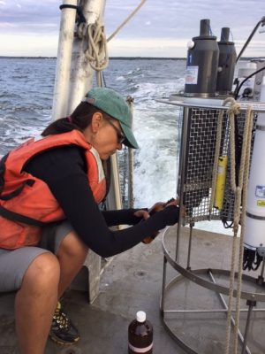 Prof. Penny Vlahos fills a sample bottle with water from Long Island Sound.