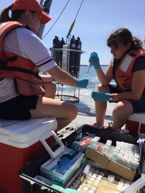 Marine sciences students fill sample bottles with water from Long Island Sound collected during an Aug. 24 research cruise.