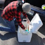 Jake Madden packs the water samples on ice for the trip to the testing lab in Maine.