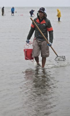 About 100 people turned out for the annual clamming clinic sponsored by the Fairfield Shellfish Commission on May 19. 