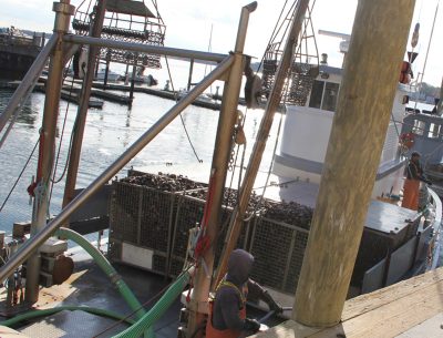 A boatload of oysters is tied up to the docks at Norm Bloom & Son Oysters in Norwalk.