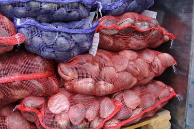 Bags of clams harvested by Atlantic Clam Farms in Greenwich await delivery to restaurants and fish markets.