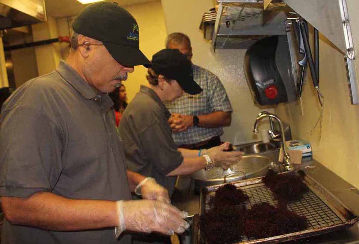 Joseph Torres, left, spreads gracilaria on a rack as Deborah Swetz washes it on July 24. The two are preparing the seaweed for dehydration at a commercial kitchen at Marrakech Inc. in New Haven.
