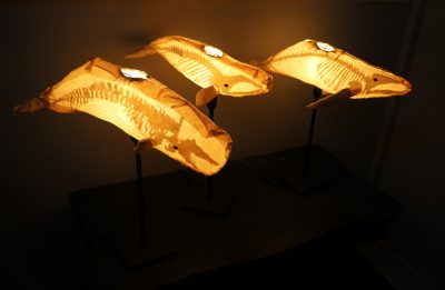 Three of the 'ghost whales' created by Kristian Brevik are mounted on lamp pedestals.