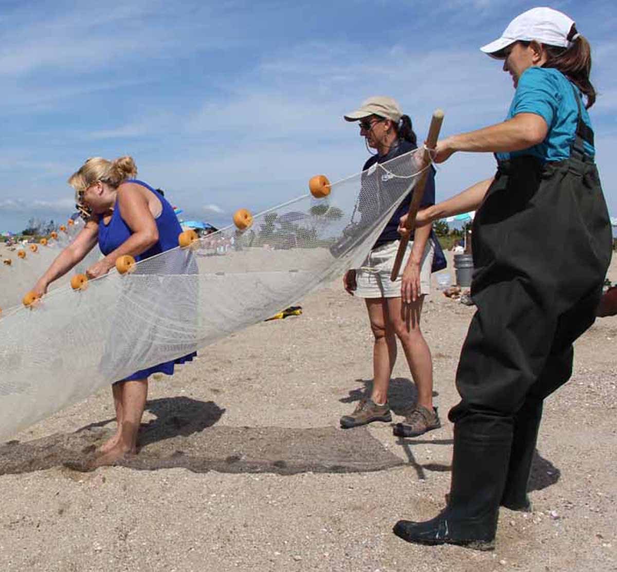Diana Payne, center, works with teachers learning to use a seine net at Hammonassett Beach State Park in Madison.