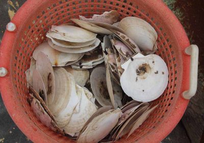 A bucket of sea scallop shells was displayed aboard Joe Gilbert's vessel during the open house.