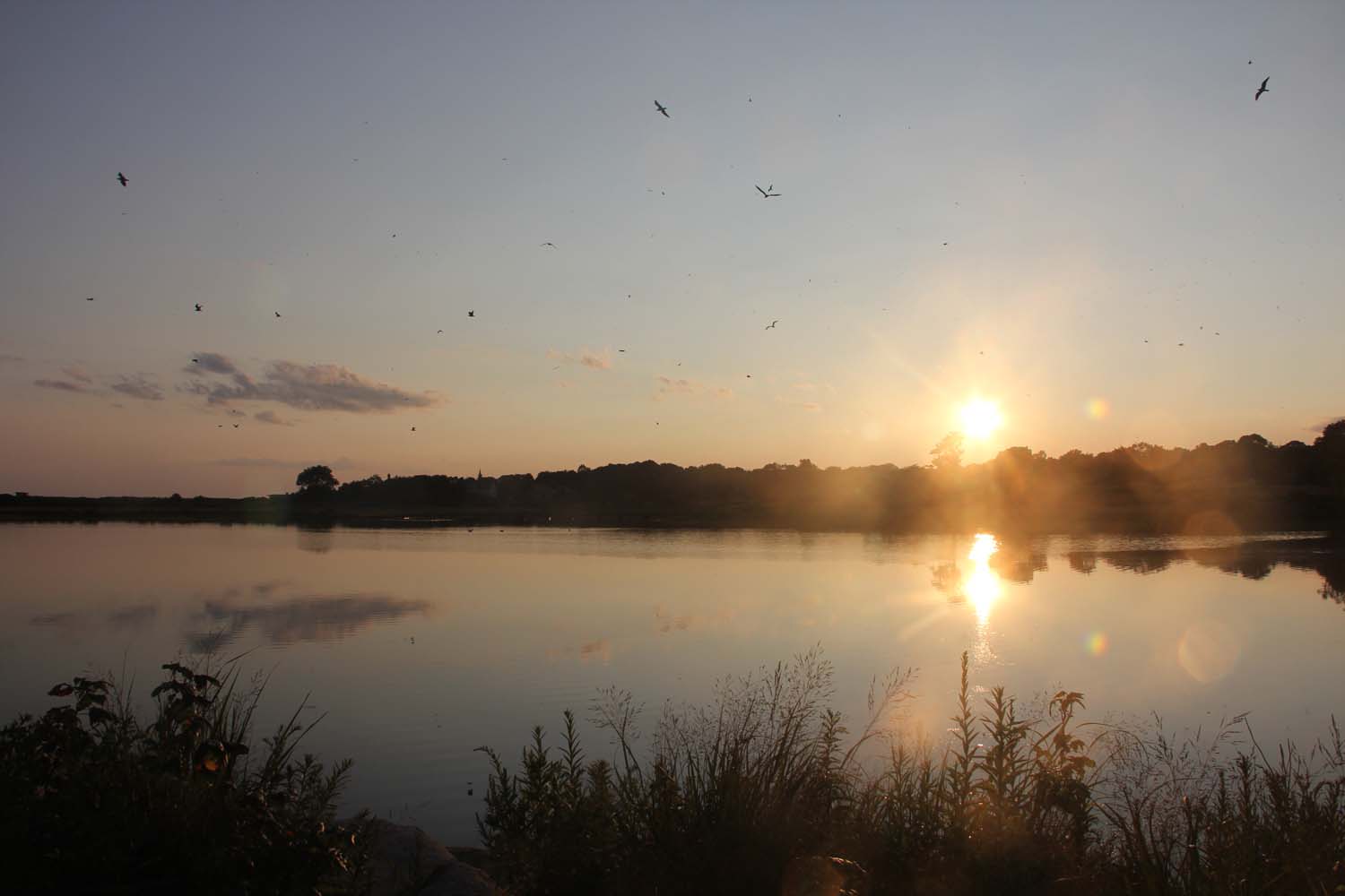 The sun sets over Goshen Pond, a tidal marsh in Waterford, on Aug. 22.