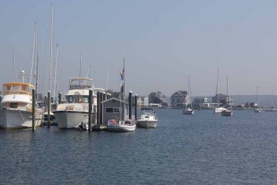 Pine Island Marina and the Shennecossett Yacht Club are located in the waters adjacent to Avery Point.