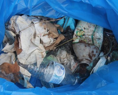 Single-use plastic bottles and lids like those collected by Mystic Aquarium summer campers are the focus of the #DontTrashLISound campaign.