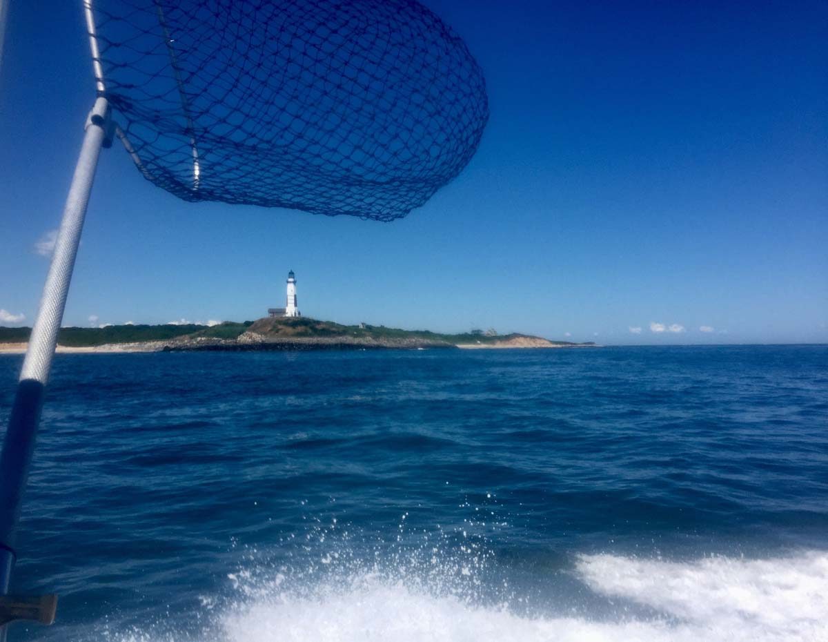 This scene from a fishing boat near Montauk last summer was captured by David Bednarz of Ledyard.