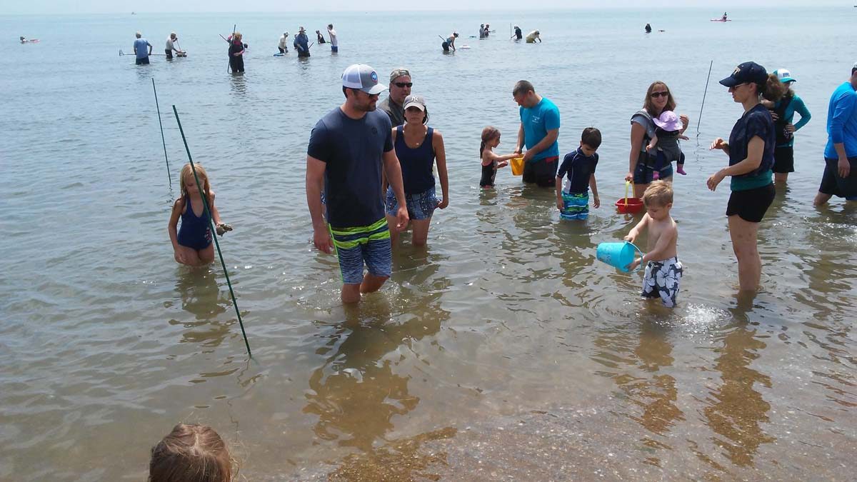 Children and their parents enjoying clamming during the Madison Shellfish Commission's annual spring clam dig are shown in this photo by Kevin Clark of Madison.
