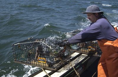 A crewman releases baited lobster traps off of the Jeanette T, a lobster boat owned by Mike Theiller that was fishing out of New London in 2005. Most of the remaining commercial lobstering in Connecticut occurs in eastern Long Island Sound.