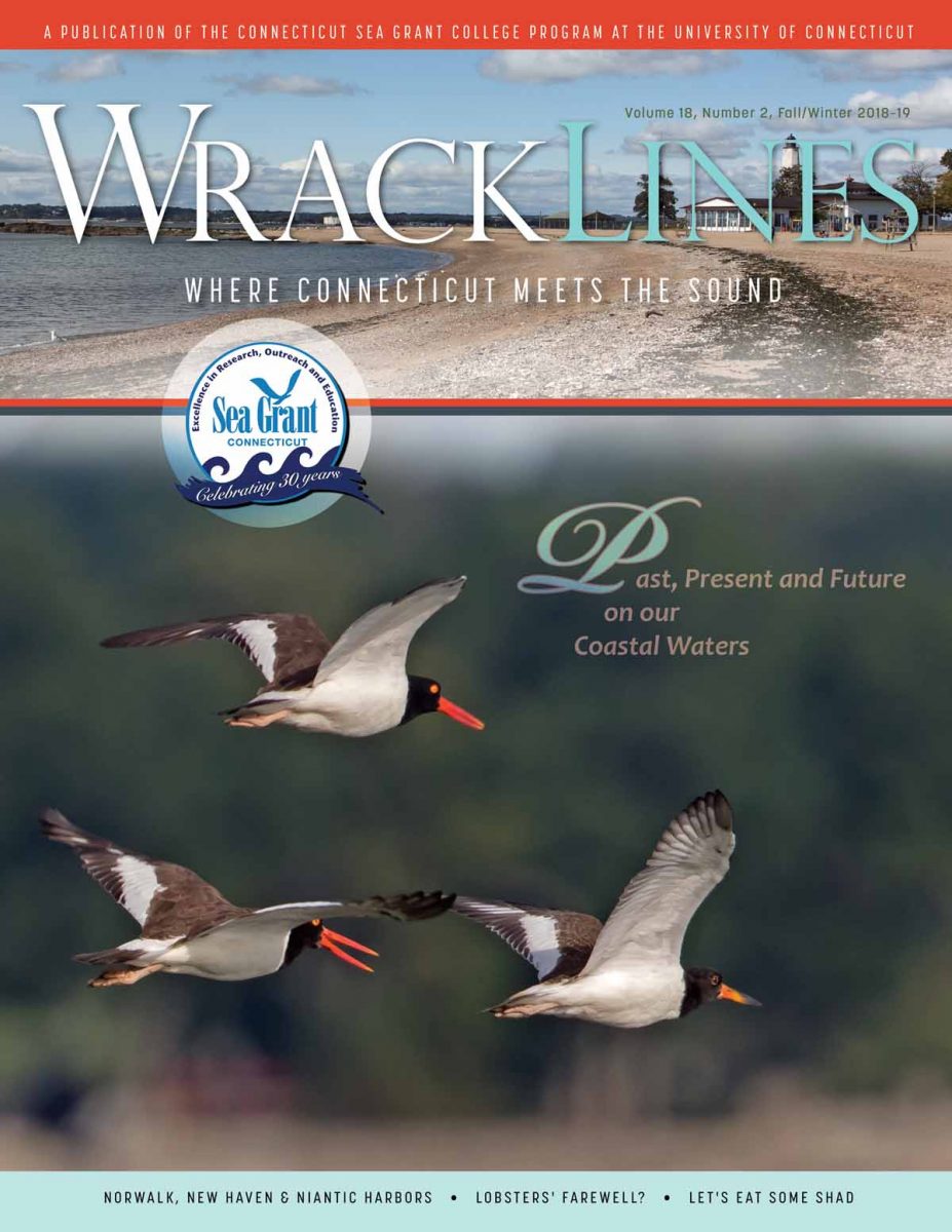 Fall/Winter 2018-19 Wrack Lines magazine cover: Past, Present and Future on our Coastal Waters.