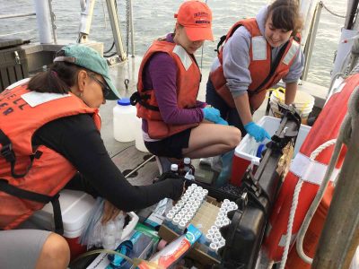Prof. Penny Vlahos, left, hands a water sample to student researchers Allison Byrd, center, and Allie Staniec during a 2017 project analyzing the carbon balances in Long Island Sound.