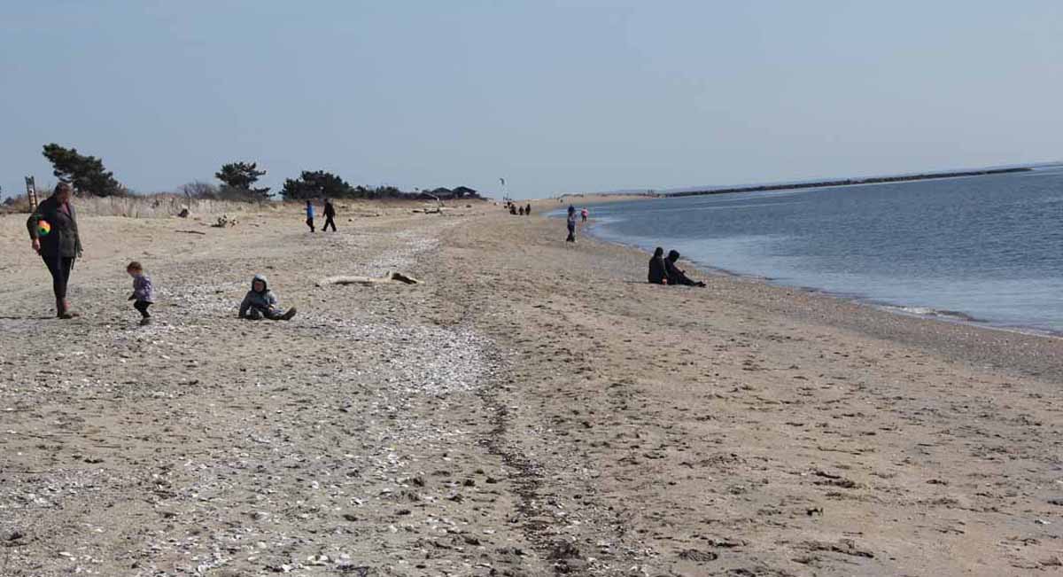 Dozens of families and others enjoyed Hammonassett Beach State Park on the first day of spring March 20.