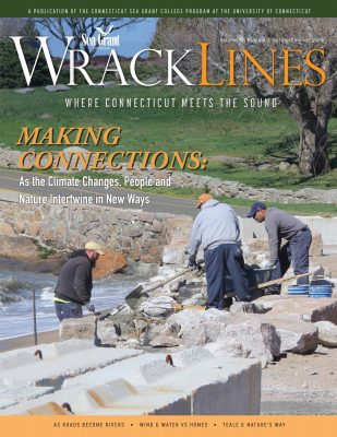Cover of Wrack Lines magazine, Spring-Summer 2019