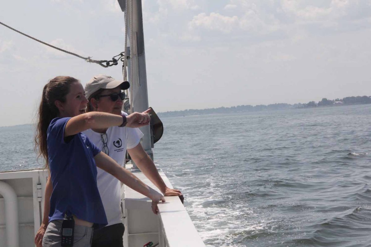 Devon Forest, left, educator at the Maritime Aquarium, points out one of the features in Norwalk harbor to Sacred Heart University Prof. Jennifer Mattei, one of the speakers for the workshop.