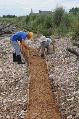 Delaware Sea Grant Associate Director Chris Hauser, left, works with Sam Koeck to secure the coconut fiber core log with stakes and rope.