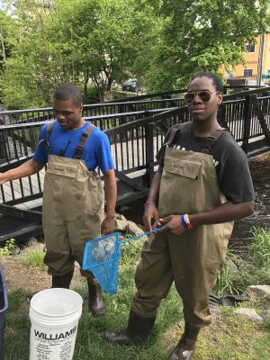 Students from Poughkeepsie High School are equipped with waders, nets and buckets for a day of collection as part of the Eel Project.