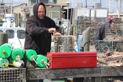 Josiah Dodge works on a lobster trap and the Town Dock in Stonington this spring. Dodge catches lobsters and fish from his boat Cricket.