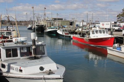 Most of Connecticut's commercial fishing fleet works out of the Town Dock in Stonington.