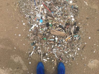 Concern is mounting over the impacts of microplastics in our waters. Recent NYSG research examined the potential impacts microplastics can have on the aquatic food chain in Lake Ontario.