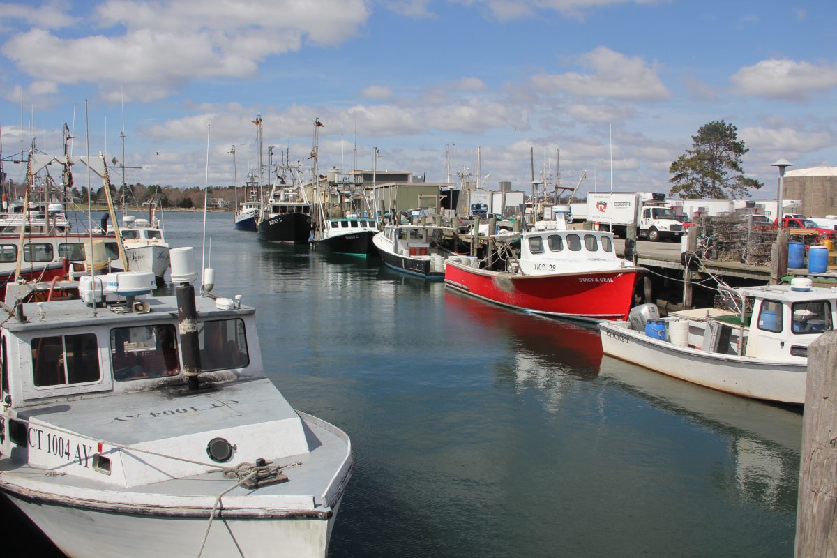 Commercial fishing boats are tied up along Stonington Town Dock on a late March afternoon.