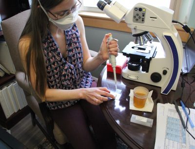 Van Gulick prepares a sample for examination under the microscope.