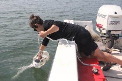 Kristin Russo, environmental analyst at the state Department of Agriculture Bureau of Aquaculture, collects a water sample in Milford using a plankton net in June.