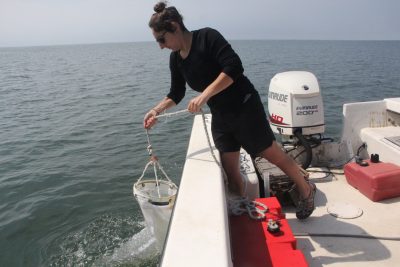 Russo hauls in the plankton net after collecting the water sample.