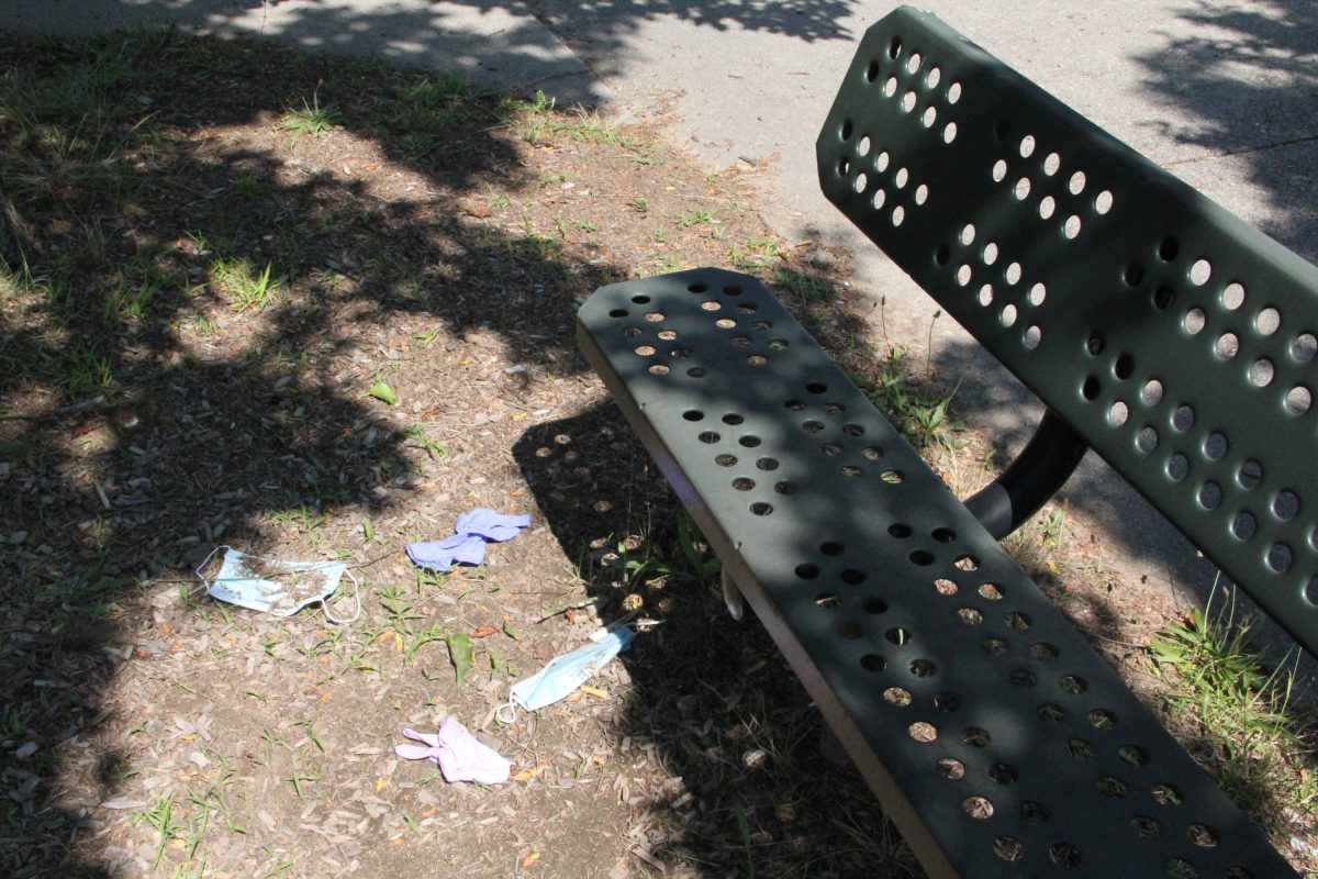 Discarded face masks and gloves lie on the ground near a park bench this summer.