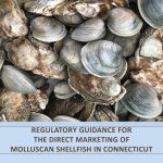 Cover of Regulatory Guidance for the Direct Marketing of Molluscan Shellfish in Connecticut