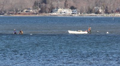 Clammers search for shellfish in the Niantic River on Feb. 6. in the winter months. These clammers could be seen from shore on Feb. 6.
