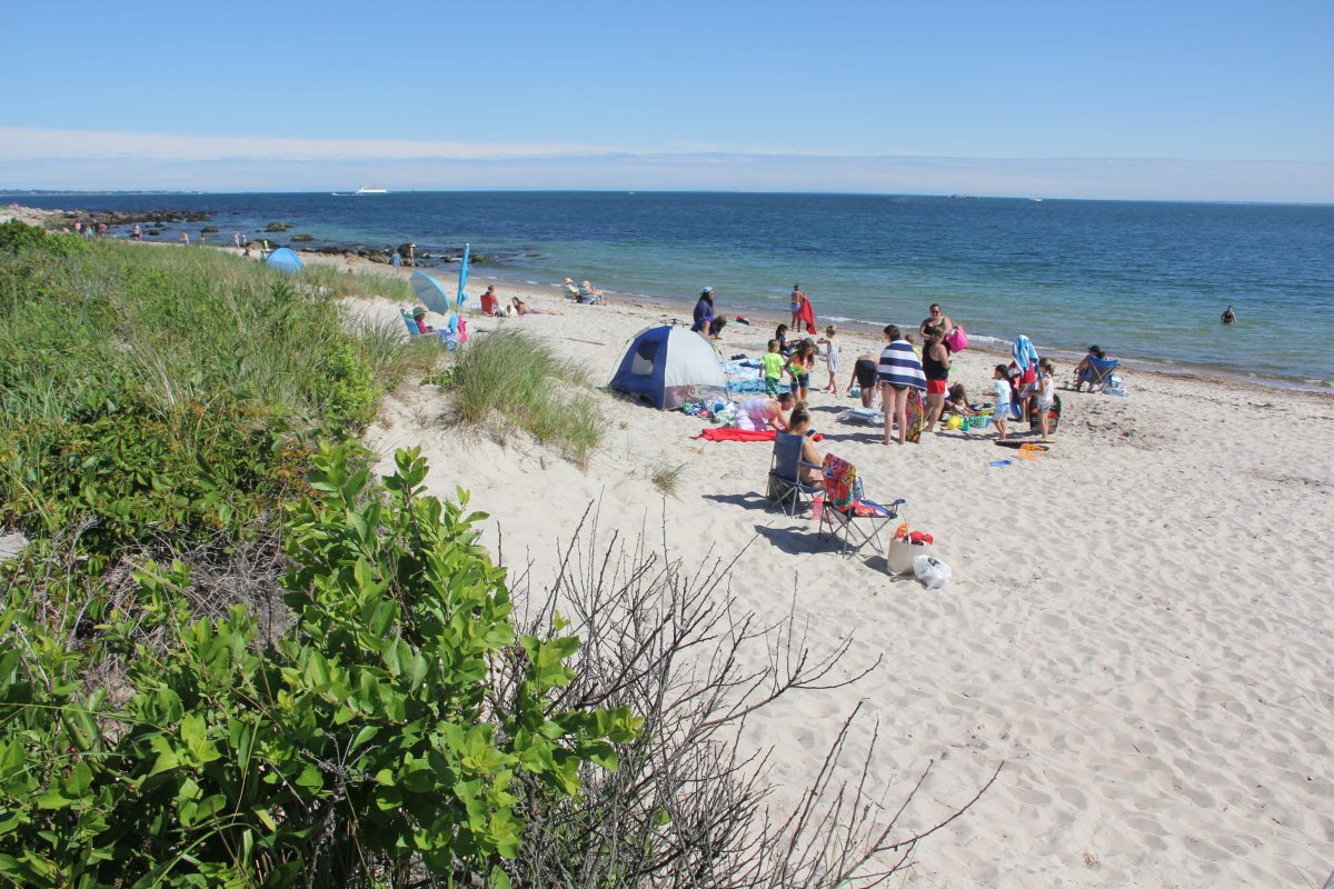 Dunes and the grasses and other vegetation like that adjacent to the beach at Harkness Memorial State Park in Waterford would be factored into the tool that will be developed by CT Sea Grant Marine and Coastal Economics Fellow Ethan Addicott.