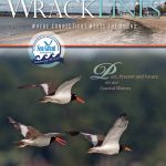 Wrack Lines Fall/Winter 2018-19 cover