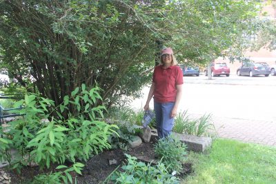Sue Augustyniak built this rain garden on the property of of the William A. Buckingham Memorial as her service project for the Coastal Certificate Program.