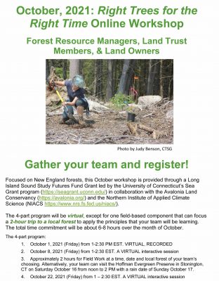 "Right Trees for the Right Time" workshop flier