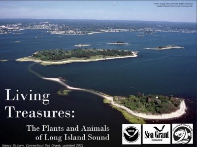Cover image of "Living Treasures: The Plants and Animals of Long Island Sound" PowerPoint