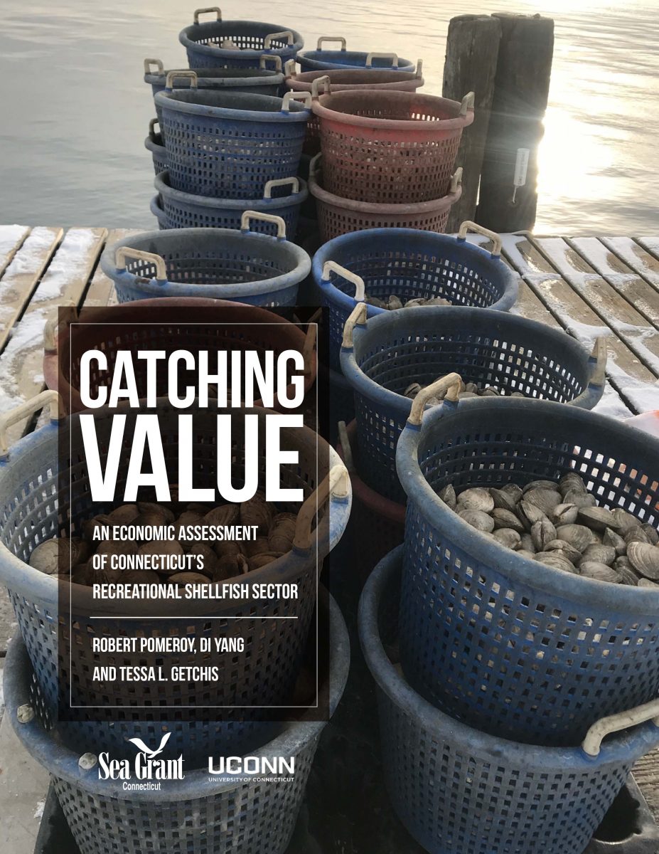 Cover of "Catching Value" report with buckets of clams in on a dock