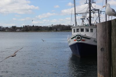 A commercial fishing boat at the Town Dock in Stonington.