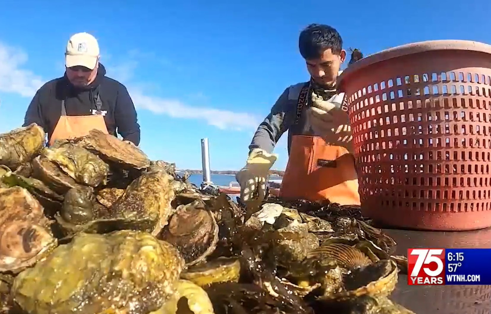 WTNH Channel 8 airs story on CT shell recycling program | Connecticut ...