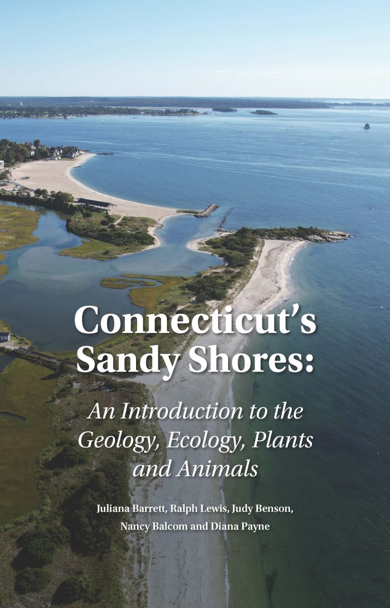 Front cover of Connecticut's Sandy Shores