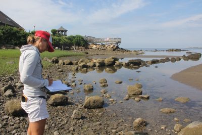 Tessa Getchis, senior extension educator and aquaculture extension specialist at CT Sea Grant, collects data in Clinton as part of the shellfish restoration project.