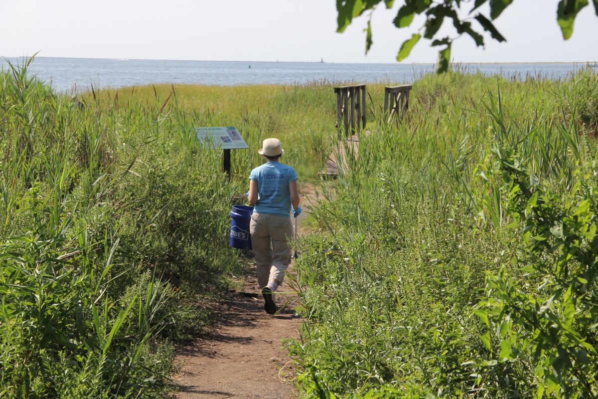 One of the 17 volunteers at the Aug. 12 cleanup heads into the Long Wharf Nature Preserve to pick up trash.