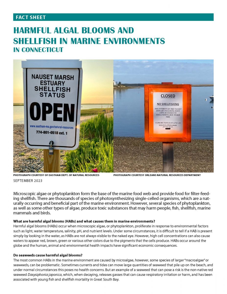 Page 1 of "Harmful Algal Blooms and Shellfish in Marine Environments in Connecticut" fact sheet