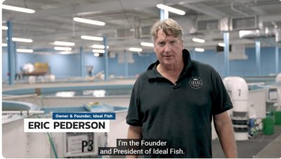 Eric Peterson, founder and president of Ideal Fish, talks about his indoor fish farm in Waterbury.