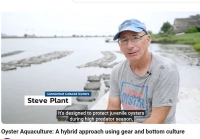 Screen grab image from "Oyster Aquaculture: A hybrid approache using gear and bottom culture" video