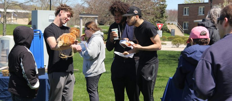 A UConn Avery Point student holds Mr. Bob, a Buff Laced Polish hen that was part of the campus EcoHusky Club's Earth Day event, which included environmentally themed displays from many groups including CT Sea Grant.